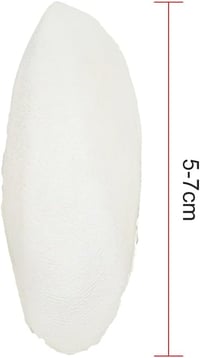 BASTOUR Tintahal Csont 10db - Teknős, Madár, Hüllő Rágcsálnivaló 3