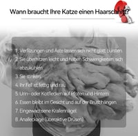 Bautrium Csendes Kisállat Nyírógép Szett - Professzionális Szőrtrimer Macskáknak és Kutyáknak, Ollóval és Fésűvel, USB-C Töltés 7