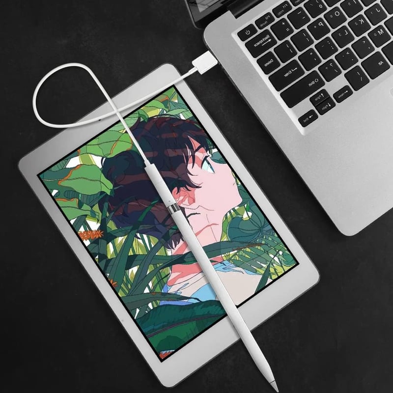 Apple Pencil 1. generációs USB-C töltőadapter iPad 10-hez, Flintronic