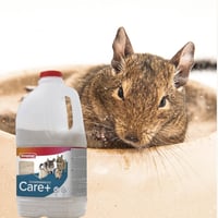 Beaphar Care+ Nisip pentru baie pentru șinșile - Nisip absorbant pentru umiditate și excesul de grăsime - 1,3 kg 6