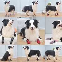 BEAUTYZOO čarapice za pse, protuklizne, s dvostranim čičak remenom, za zaštitu šapa u zatvorenom prostoru, za male, srednje i velike pse, set od 6 komada 9