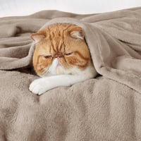 Pătură din polar pufoasă Bedsure pentru sufragerie și camera copiilor 130 x 150 cm, pătură de iarnă maro deschis 3