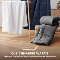 BEDSURE Egész éves paplan 155x220 cm, Oeko-TEX, 300 gsm, szürke, allergia barát 4
