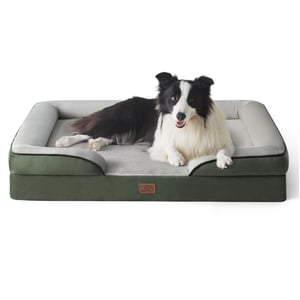 BEDSURE Ortopéd Kutyaágy, Ergonomikus Kutyakanapé, 89 x 63 x 17 cm, Fenyőzöld