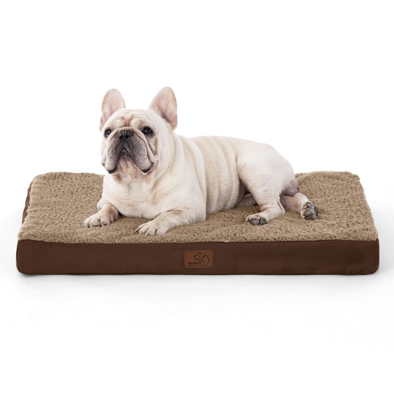 BEDSURE Ortopedski krevet za pse za male pse - 76x51x7,6 cm Perivi plišani madrac za pse s protukliznom podlogom, smeđi
