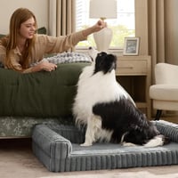 BEDSURE ortopéd kutyafekhely 89x64x18 cm, memóriagéles hab, levehető huzat – szürke 8