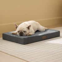 Bedsure Ortopédikus Kutyapárna 70x45cm Memóriahabos Szürke Mosható Kutyaágy - L 74 x B 46 x H 8 cm, darkgray 2