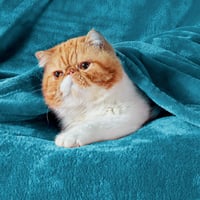 BEDSURE Puha Fleece Takaró 150x200 cm Türkiz Kanapé Pléd Meleg Téli Blanket 3