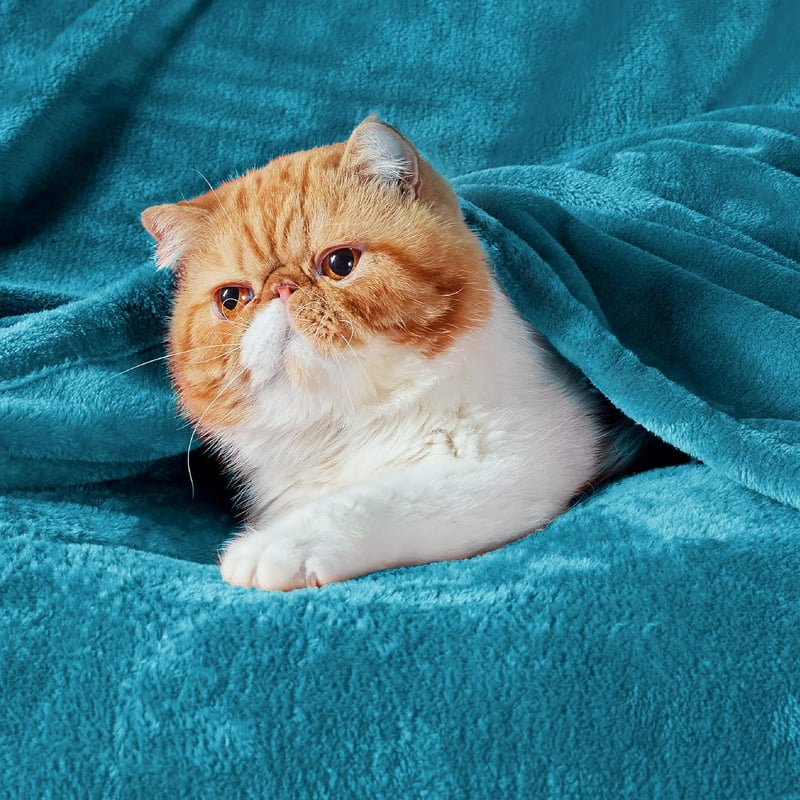 BEDSURE Puha Fleece Takaró 150x200 cm Türkiz Kanapé Pléd Meleg Téli Blanket