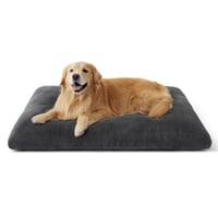Bedsure XXL matrac pre psov, prateľný, protišmykový - sivý - 119x74x8 cm 1