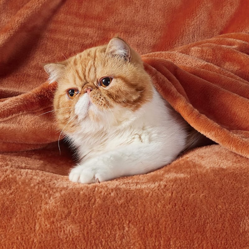 BEDSURE XXL Puha Fleece Takaró 220x240 cm, Narancssárga Kanapé Pléd