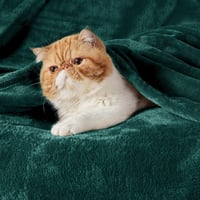 BEDSURE XXL Puha Fleece Takaró 230x270 cm, Meleg Téli Pléd Kanapéra, Sötétzöld 2