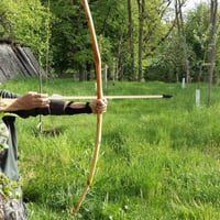 Behogan 30 ks bambusových náhradných šípov s gumeným hrotom, 43 cm, pre začiatočníkov, na lukostreľbu, vonkajší nácvik streľby na cieľ 6