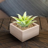 BELLE VOUS Négyzet alakú nyers fa tárolódoboz szett 4 db-os 9,5x9,5x5cm 6