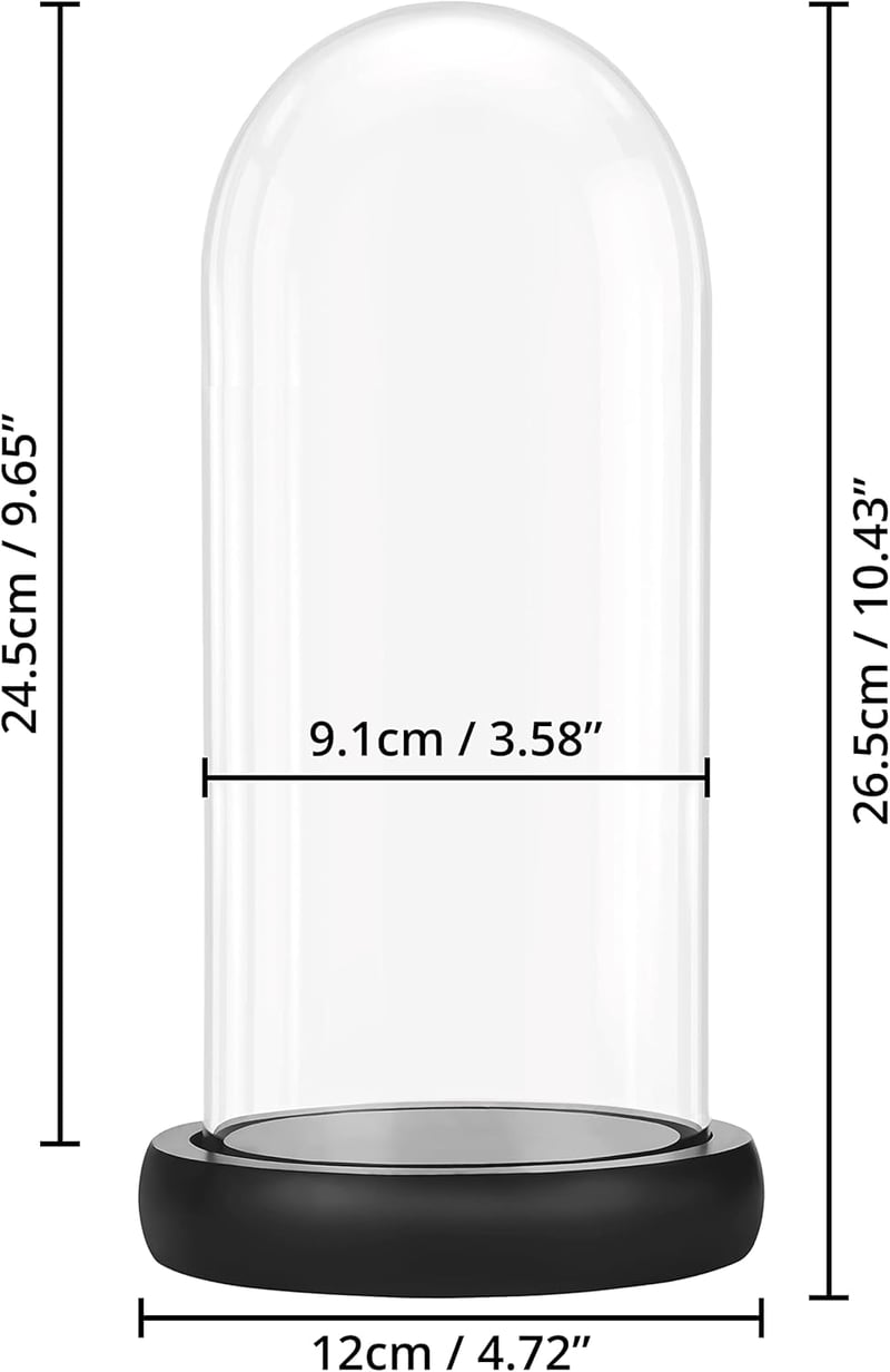 Belle Vous üvegharang fekete fa talppal 26,5 cm - dekoratív üveg harang tálcával