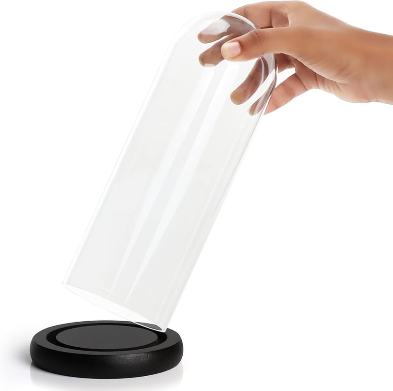 Belle Vous üvegharang fekete fa talppal 26,5 cm - dekoratív üveg harang tálcával