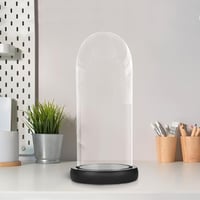 Belle Vous üvegharang fekete fa talppal 26,5 cm - dekoratív üveg harang tálcával 4