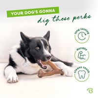 Jucărie de mestecat durabilă Benebone Wishbone pentru câini cu tendință de mestecare agresivă, aromă de pui veritabil, mărimea Giant, fabricată în SUA 3