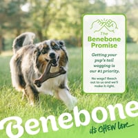 Jucărie de mestecat durabilă Benebone Wishbone pentru câini cu tendință de mestecare agresivă, aromă de pui veritabil, mărimea Giant, fabricată în SUA 6