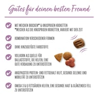 Beneful Glückliche Jahre 7+ Senior suché krmivo pre psov s kuracím mäsom a záhradnou zeleninou, 12 kg 2