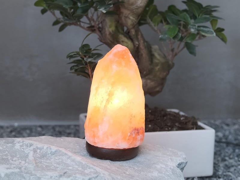Lampă de sare BEPER cu bază din lemn și intensitate reglabilă, sculptată manual
