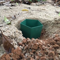 Beslands Csiga Csapda Szett Kerthez Vonzóanyaggal Hatékony Védekezés 3