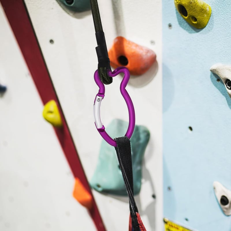 BESPORTBLE 10 db Karabiner Horog Halforma Kulcstartó Lila Alumínium
