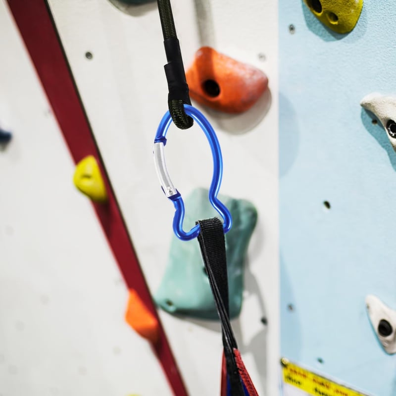 BESPORTBLE 10db Hal Alakú Karabiner Horog Alumínium Rugós Csattal Kempinghez