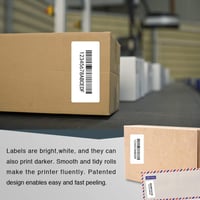 BETCKEY 11356 Öntapadós Címkék DYMO LabelWriter 450-hez, 41x89mm, 10 Tekercs 7