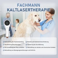 BETISBE Hideg Lézer Terápiás Készülék Mágneses Fedéllel, Vörös Fény Terápia Ízületi és Izomfájdalom Enyhítésére 808nm 650nm Hordozható 2