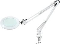 Beyamz nagyítólámpá 105mm 5-dioptriás valódi üveggel, 3 színmód, USB, fehér 1