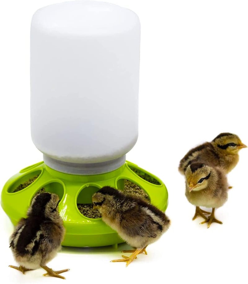 Happy Chickens Csirke és Fürj Etető-Itató Szett - 1kg Etetőtál és 1L Itató Kiscsibéknek