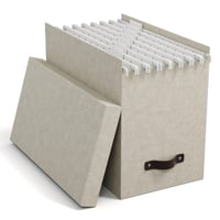 BIGSO JOHAN A4 Box na závesné zakladače s vekom a držadlom - Stolový organizér na dokumenty - Recyklovaná drevovláknitá doska - Béžová 1
