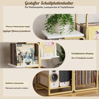 Bikoney Vintage Bakelit Lemez Tartó Állvány Növény Dizájnnal, LP Tároló Polc és Album Kiállító, Nappali és Hálószoba Dekoráció, Arany 8