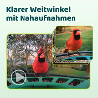 Birdfy 2 Pro Madáretető 2K Dupla Kamerával, Élő Madárfigyelés, AI Madárérzékelés, Vezeték Nélküli Etetőállomás, Lassított Videó, Automatikus 4