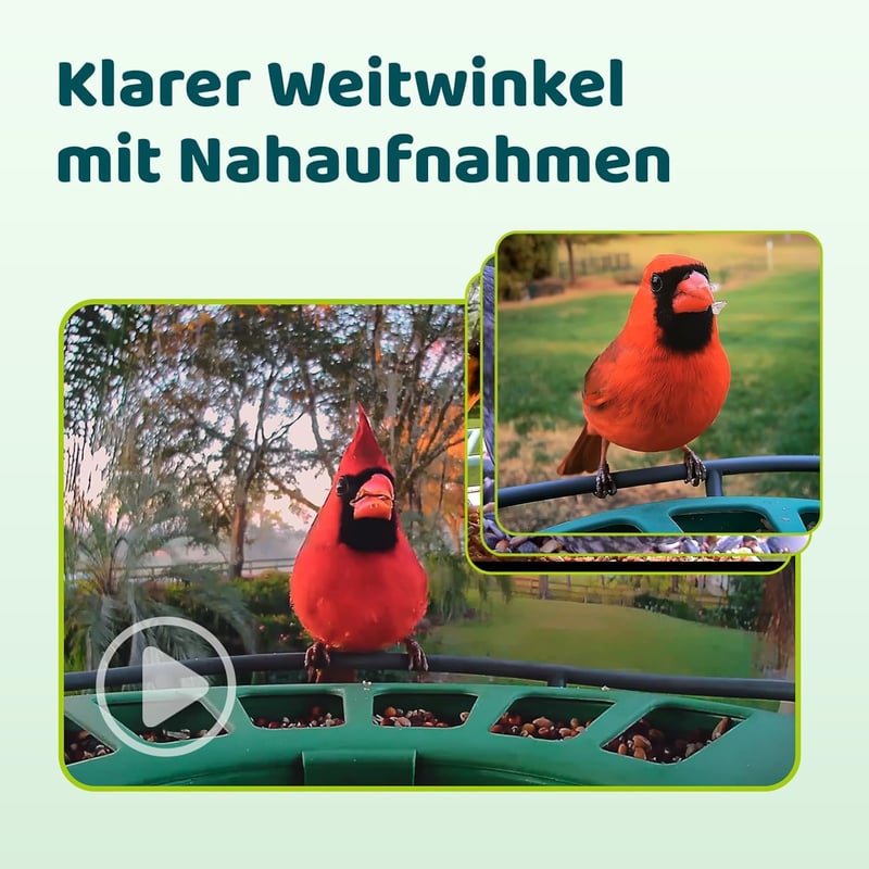 Birdfy 2 Pro Madáretető 2K Dupla Kamerával, Élő Madárfigyelés, AI Madárérzékelés, Vezeték Nélküli Etetőállomás, Lassított Videó, Automatikus