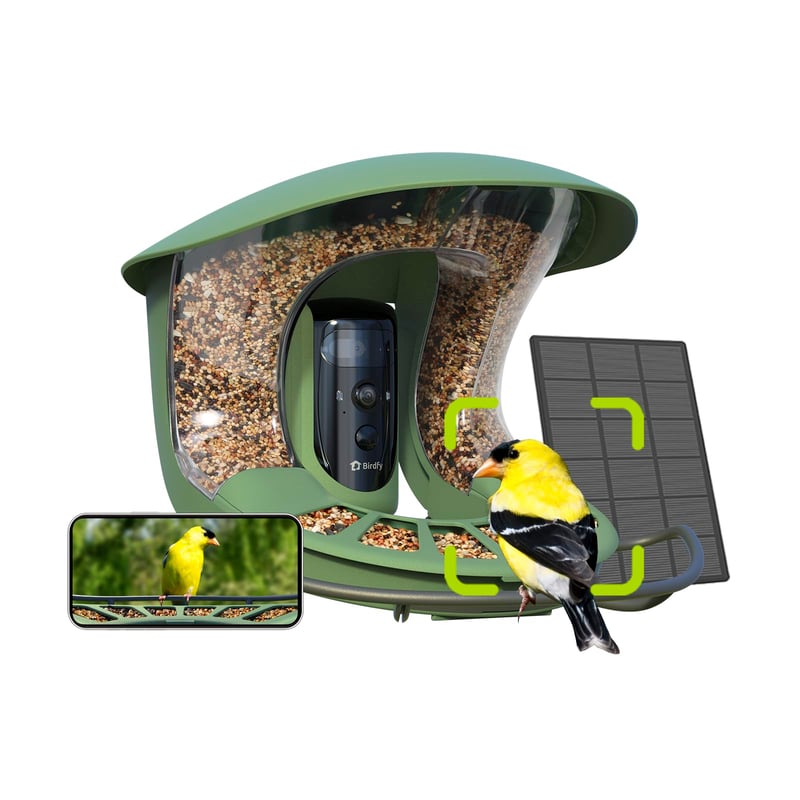 Birdfy 2 Pro Hranilica za ptice s dvije 2K kamere, prijenos uživo promatranja ptica, AI prepoznavanje ptica, bežična hranilica, usporeni video, automatska