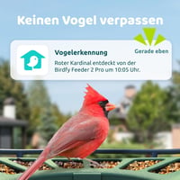 Birdfy 2 Pro Madáretető 2K Dupla Kamerával, Élő Madárfigyelés, AI Madárérzékelés, Vezeték Nélküli Etetőállomás, Lassított Videó, Automatikus 2