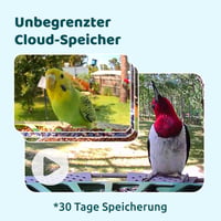 Birdfy 2 Pro Madáretető 2K Dupla Kamerával, Élő Madárfigyelés, AI Madárérzékelés, Vezeték Nélküli Etetőállomás, Lassított Videó, Automatikus 6