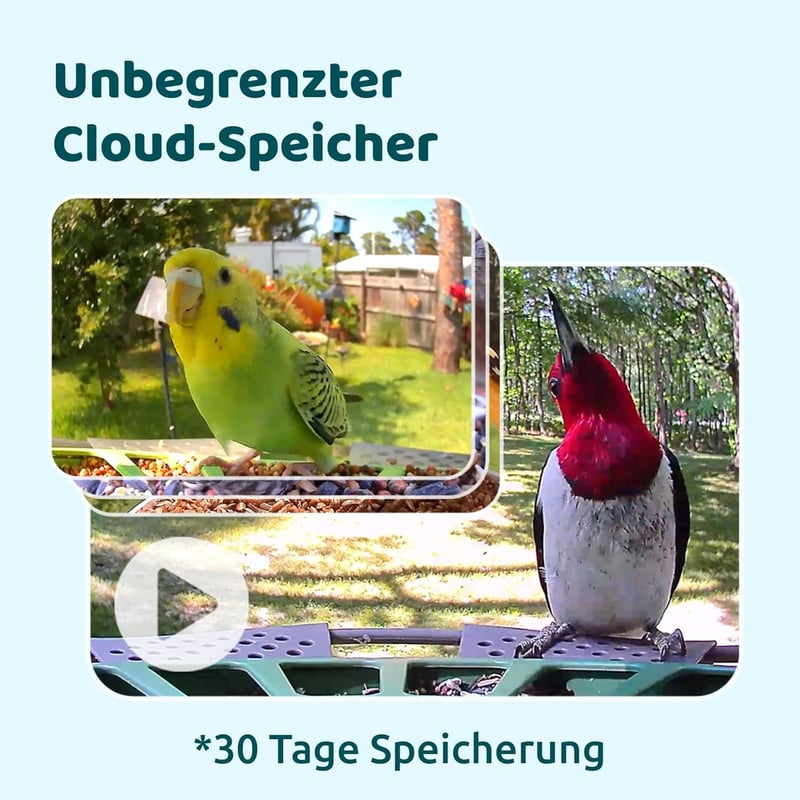 Birdfy 2 Pro Madáretető 2K Dupla Kamerával, Élő Madárfigyelés, AI Madárérzékelés, Vezeték Nélküli Etetőállomás, Lassított Videó, Automatikus