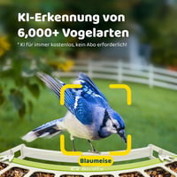 Birdfy Madáretetõ Kamerával, 1080P Éjszakai Látás, Napelemes, Valós Idejû Értesítés 5