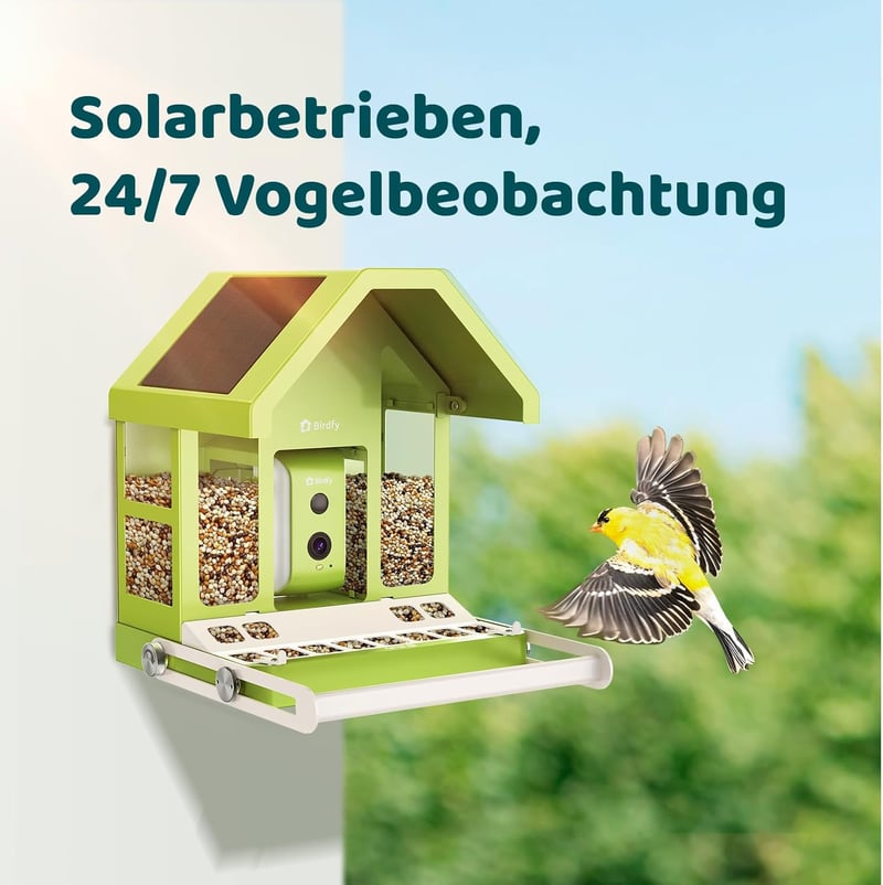 Birdfy Madáretetõ Kamerával, 1080P Éjszakai Látás, Napelemes, Valós Idejû Értesítés