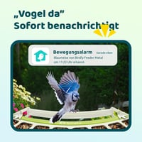 Birdfy Madáretetõ Kamerával, 1080P Éjszakai Látás, Napelemes, Valós Idejû Értesítés 4