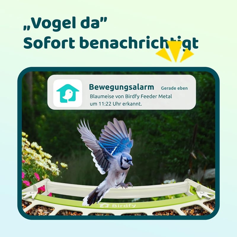 Birdfy Madáretetõ Kamerával, 1080P Éjszakai Látás, Napelemes, Valós Idejû Értesítés