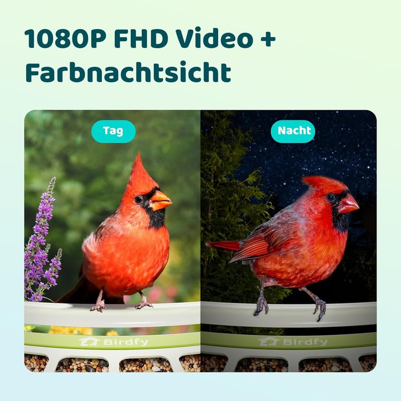 Birdfy Madáretetõ Kamerával, 1080P Éjszakai Látás, Napelemes, Valós Idejû Értesítés