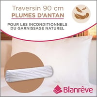 Blanrêve Antan prirodni pernati jastuk za vrat, polutvrda udobnost, 90 cm, bijela/plava, jednostavan za održavanje, proizvedeno u Francuskoj 2