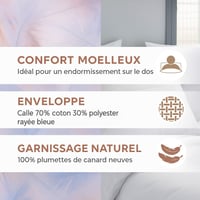 Blanrêve Antan prirodni pernati jastuk za vrat, polutvrda udobnost, 90 cm, bijela/plava, jednostavan za održavanje, proizvedeno u Francuskoj 3