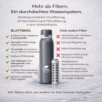 Blattberg Rozsdamentes Vízszűrő Palack 740ml - Baktérium és Vírus Elleni Védelem 6