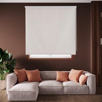 Rulou Opac Blindecor Draco 120x175 cm, Gri Argintiu, Termoizolant, Blackout, Suprafață Netedă 1
