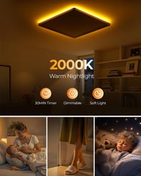BLNAN LED stropna svjetiljka tanka s mogućnošću prigušivanja, 24W s daljinskim upravljačem, 2000K noćno svjetlo, 3000K-6500K, za spavaću sobu dnevni boravak dječju sobu, kvadratna bijela 30 cm 3